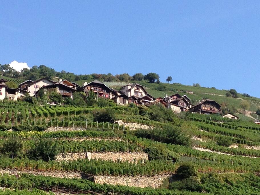 Le village vu de la plaine