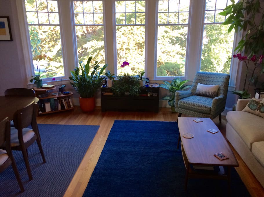 Lounge area