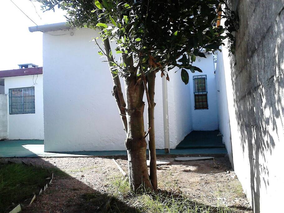 FRENTE DEL APARTAMENTO