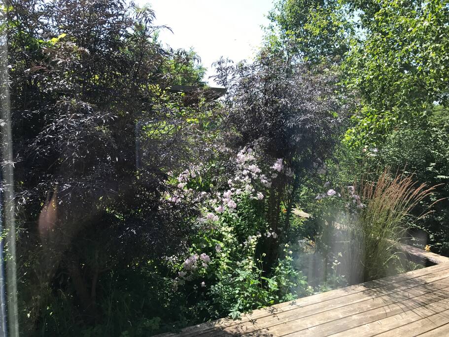 View from your bedroom