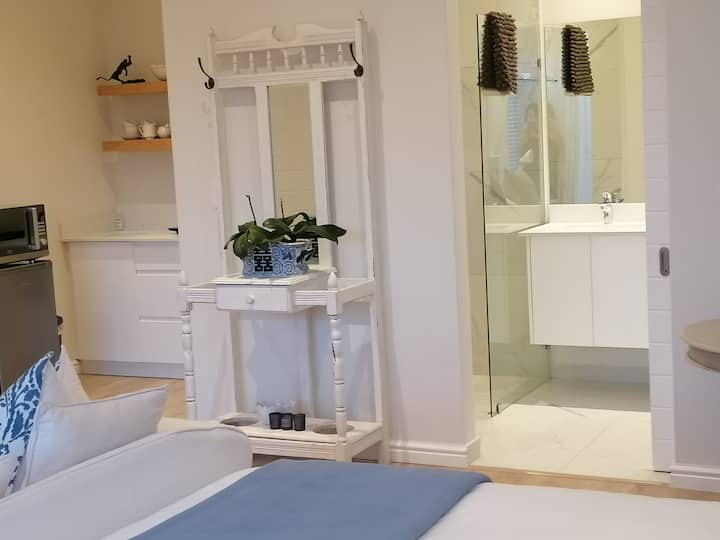 Открит апартамент с план, включително баня, кухня и спалня с удобен диван 