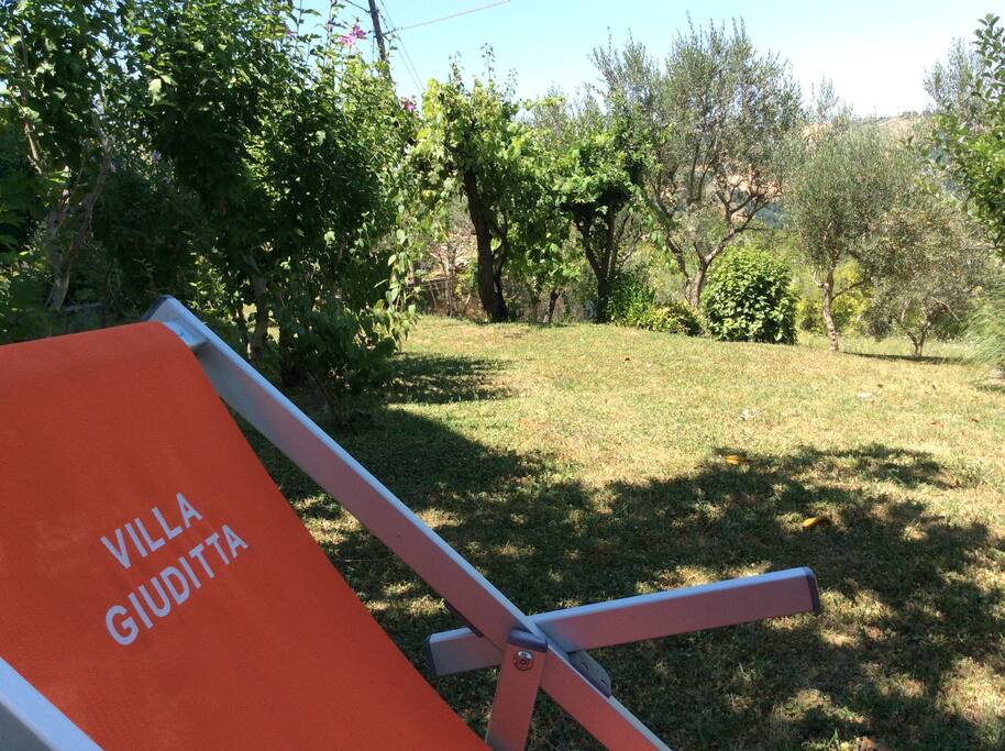 The garden