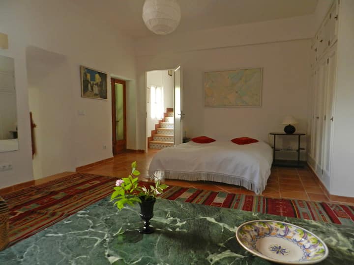 סלון/חדר שינה 3