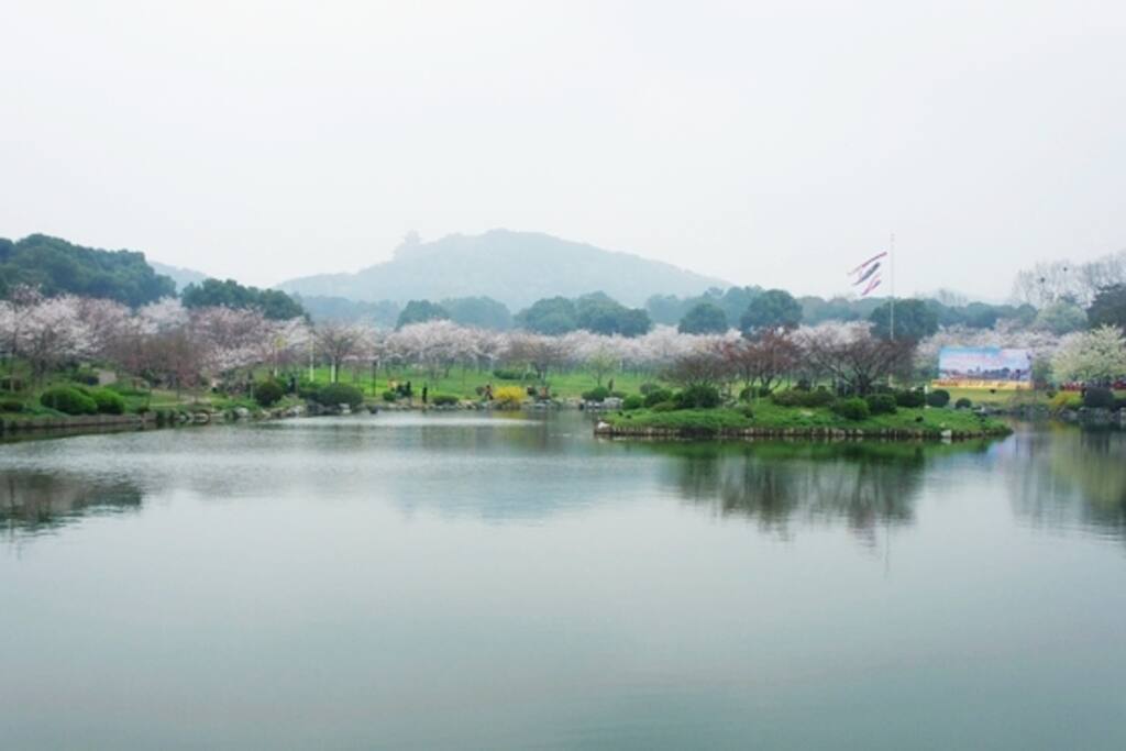 国家5A级旅游景区-武汉东湖