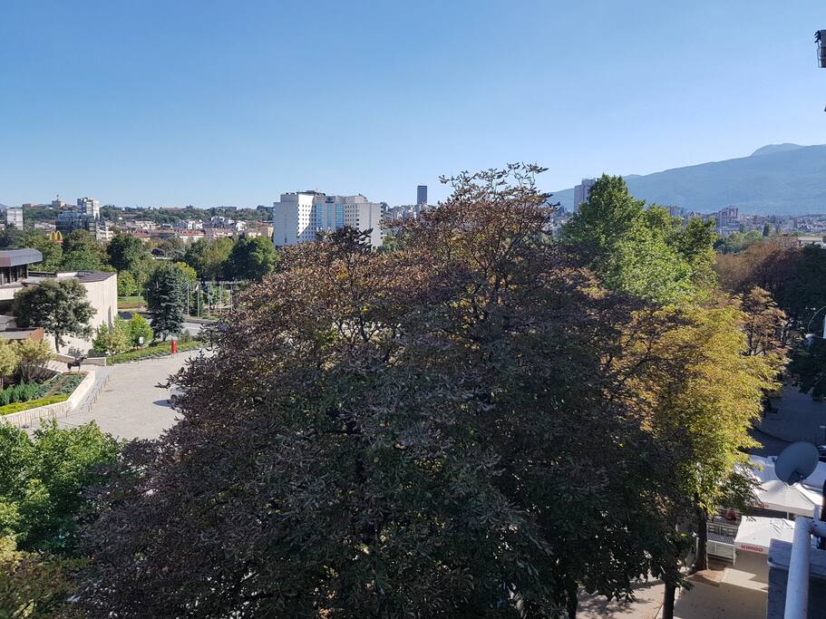 View from the balcony