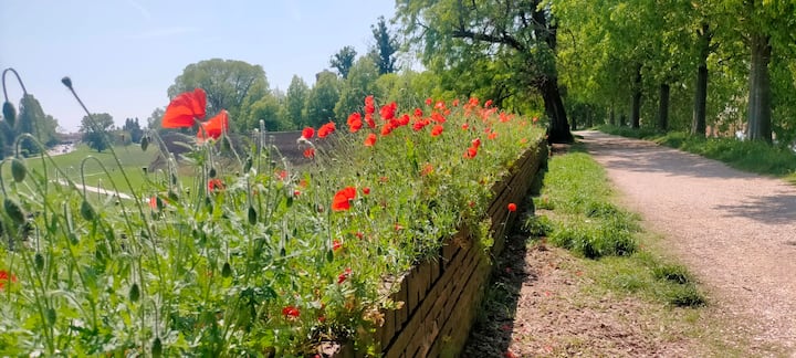 Appartamento Con Giardino - Ferrara