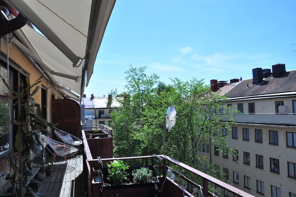 Large 16m2 terrace with sun all day.