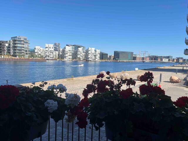 Exclusive place Copenhagen city center