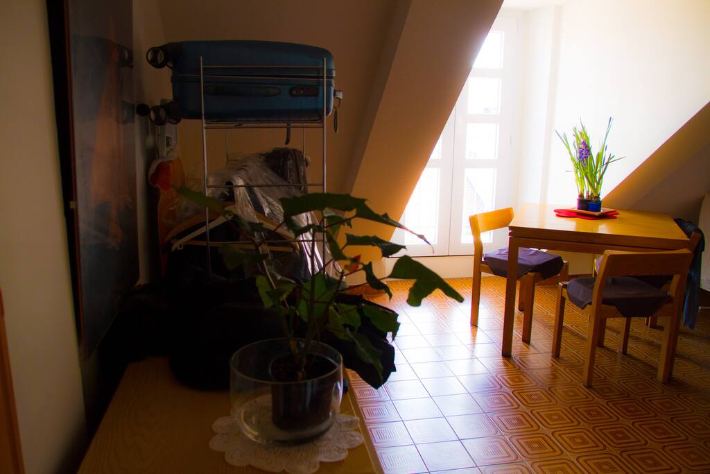 entrance + dinning room