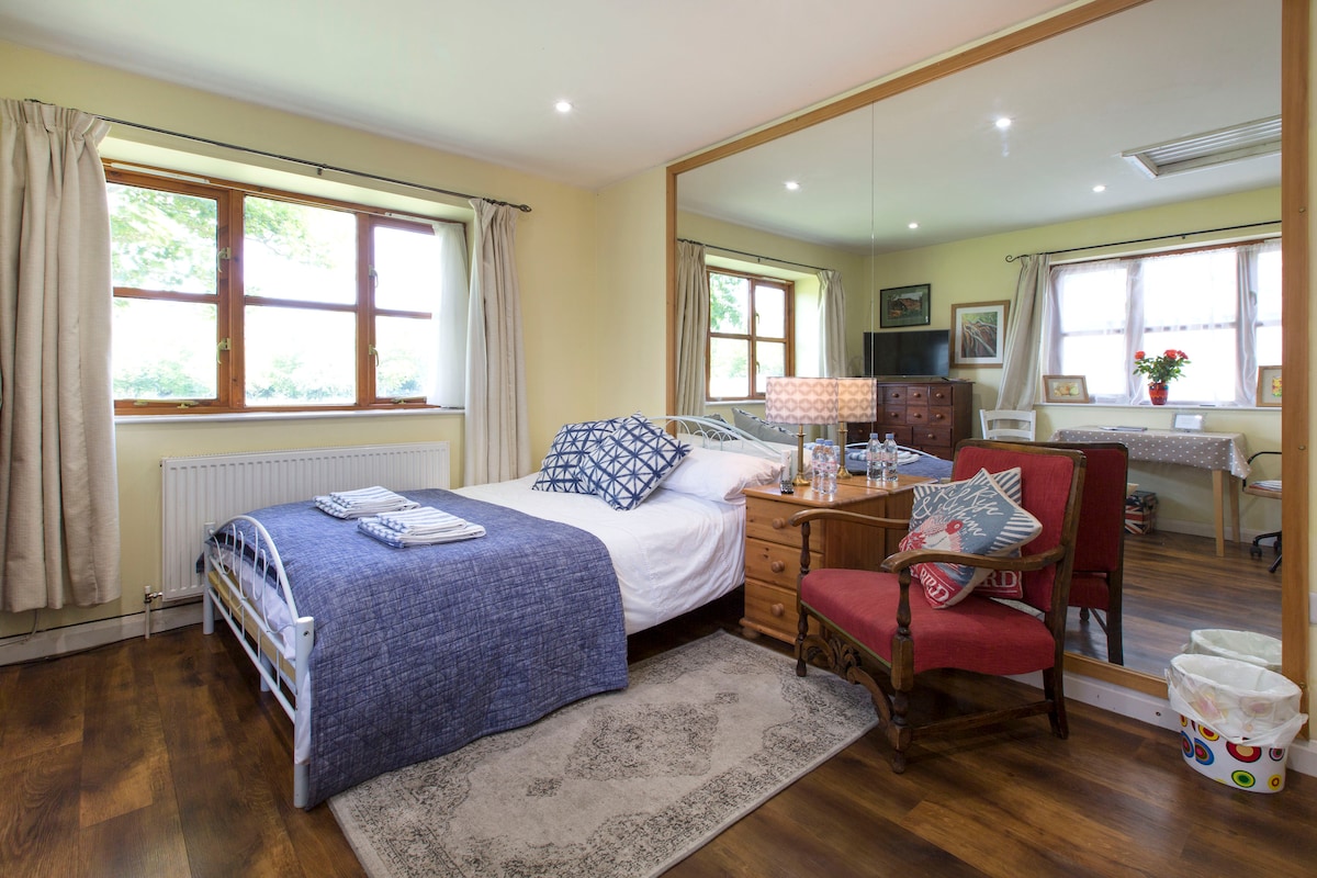 A well-lit bedroom with a spacious bed covered by a blue blanket. Two windows allow natural light to fill the room. A mirrored wardrobe reflects the décor, which includes a wooden chair and a small table with a vase of flowers, creating a homey ambiance.