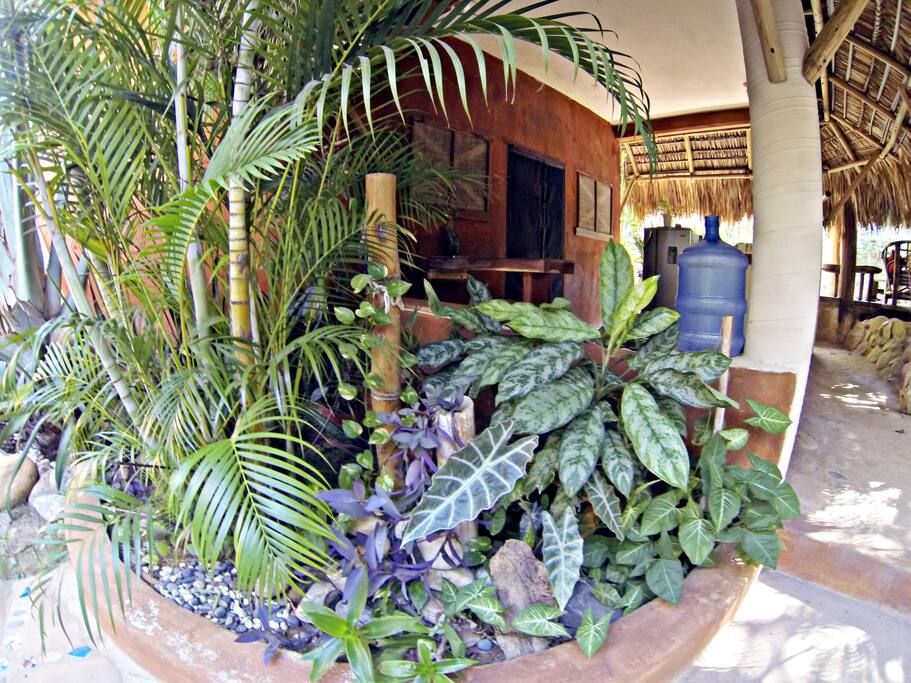 cabana maracuya