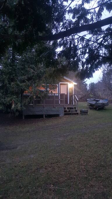Shade trees over cabin