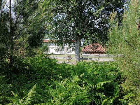 Happiness is in the Landes