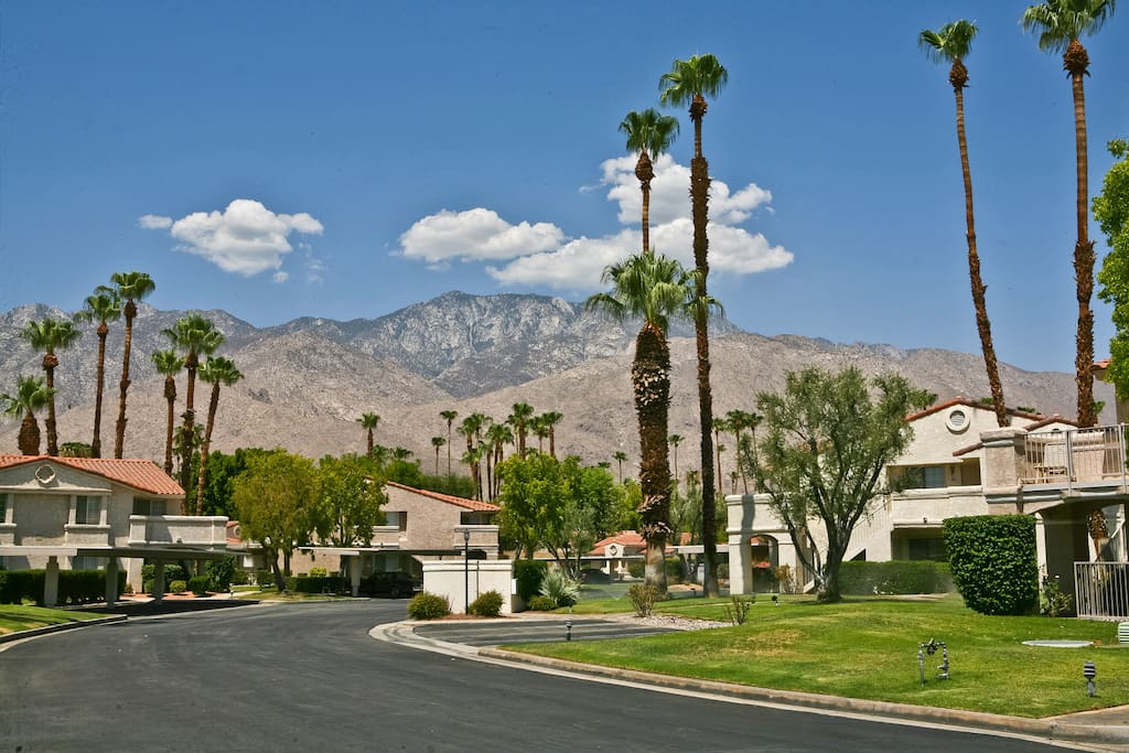 Beautiful Mountain Views in Palm Springs