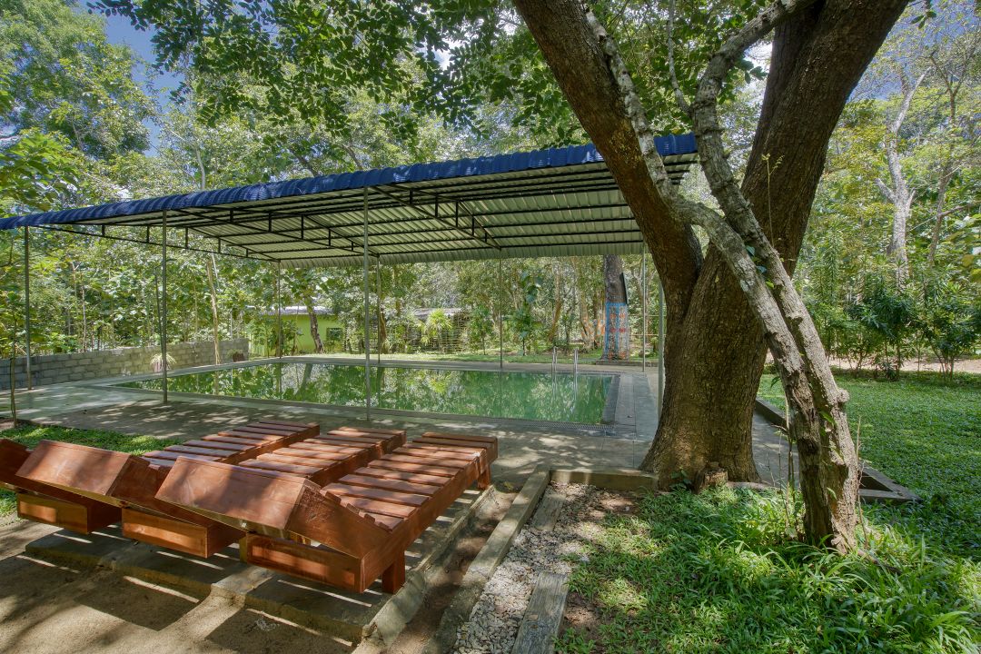 A covered seating area is situated near a tranquil swimming pool, surrounded by natural greenery. Wooden lounge chairs are arranged on the spacious deck, inviting relaxation. Tall trees provide shade, enhancing the serene forest setting.