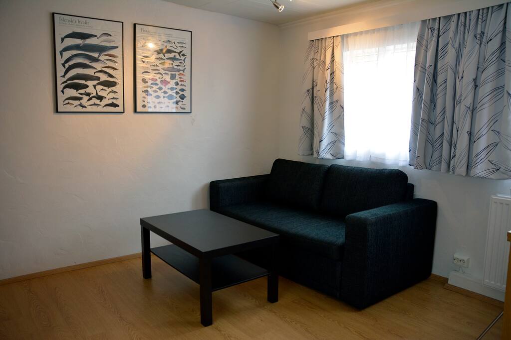Bed couch for extra people
