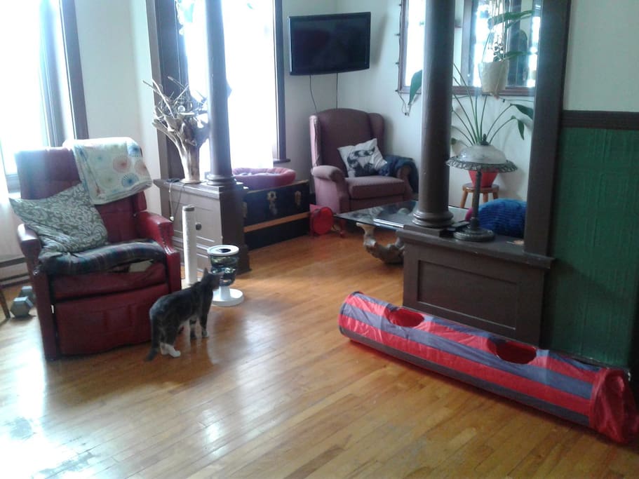 Salon / living room