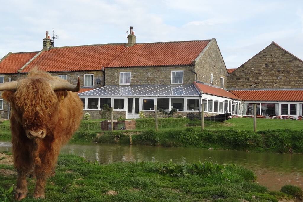Local neighbours