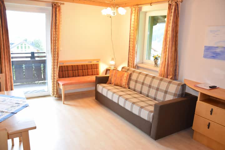 Brownies Apartment Oliver 2 - Flachau