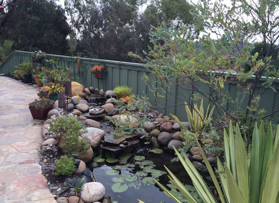 Pond - water feature off the back patio