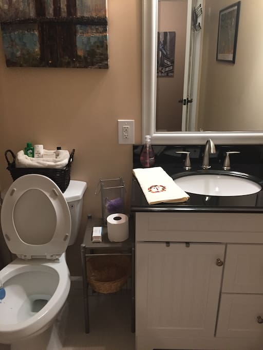 main guest bathroom