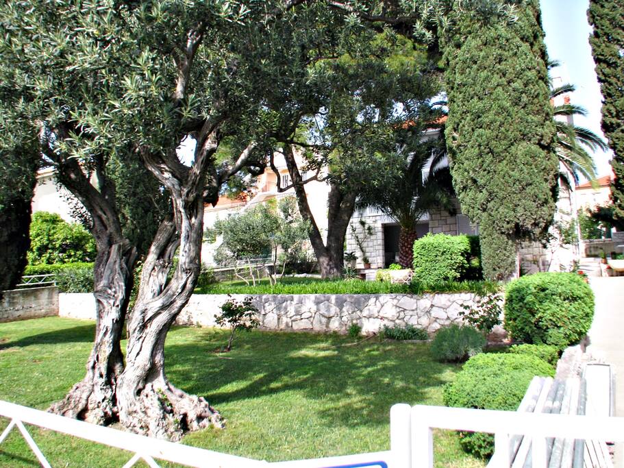 the garden in fron off
