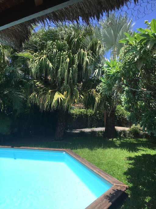 Vue du gazebo sur piscine et jardin