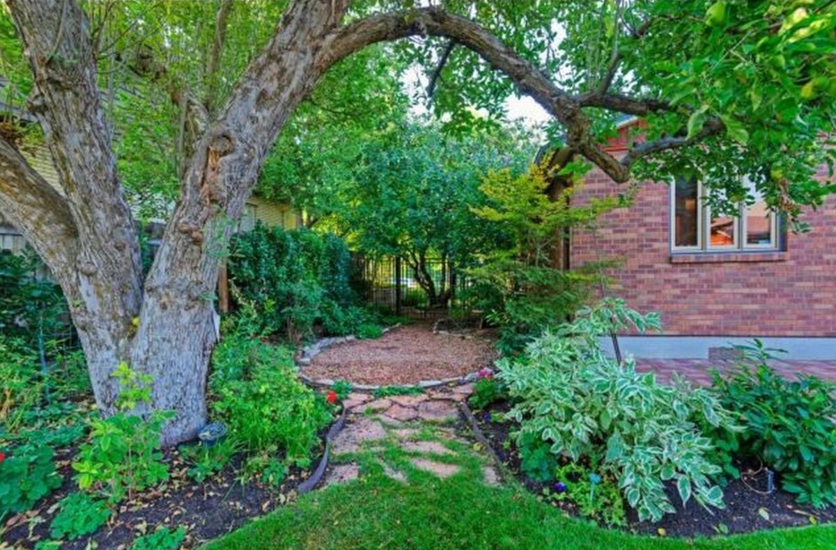 A serene yard features a large tree offering shade, surrounded by vibrant greenery and flowering plants. A stone pathway leads through the garden area, showcasing a mixture of natural textures and colors, inviting relaxation and exploration.
