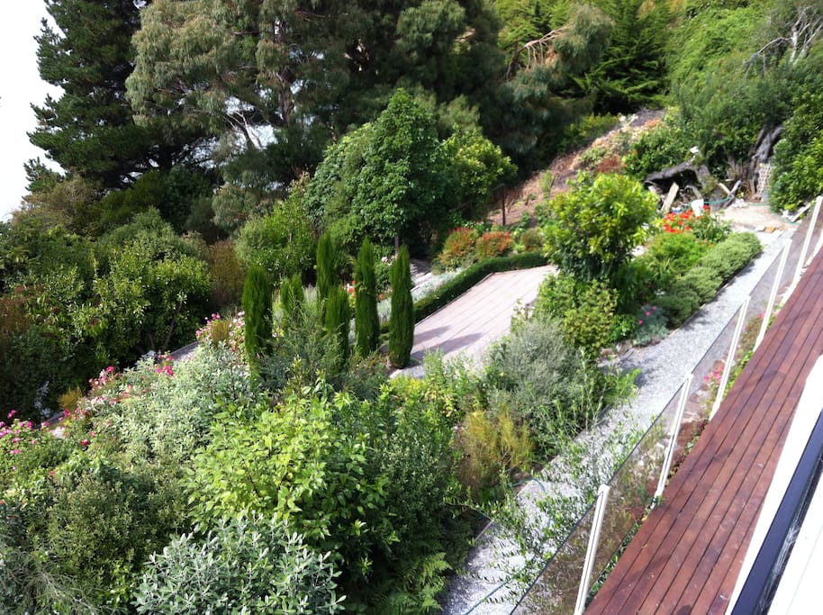 view of our garden