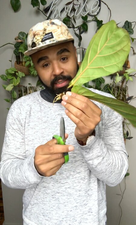 Show full-screen, host-provided image