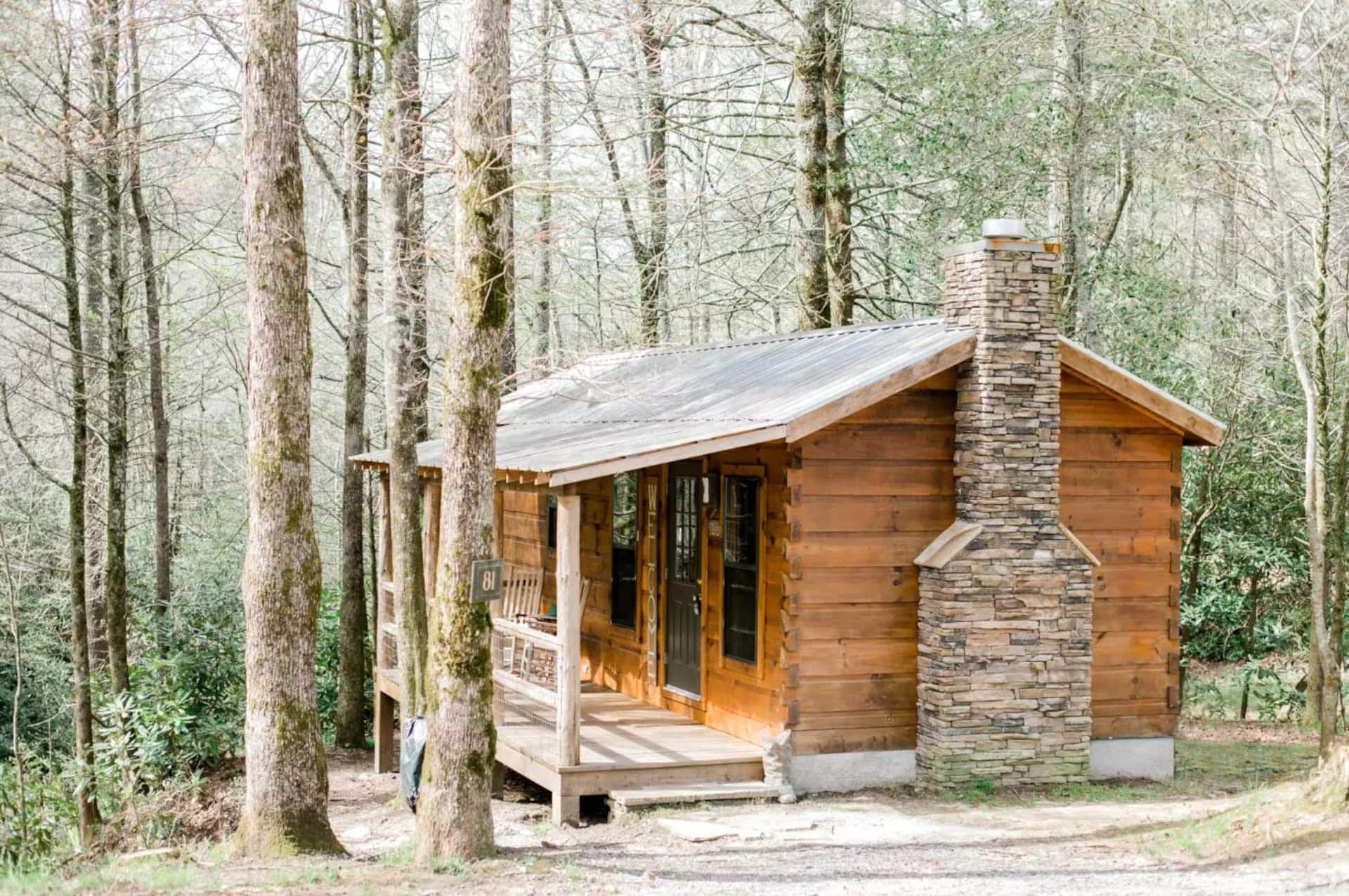 Cozy Cabin Nestled in the Woods