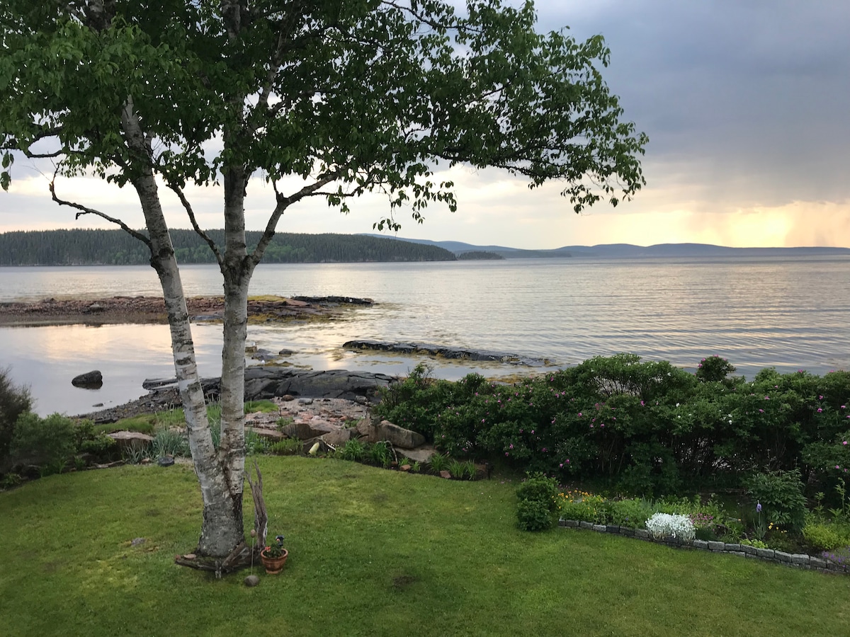 A serene view of the coastline is framed by a large tree and lush greenery. Calm waters reflect the sky, while scattered rocks and a vibrant garden create a picturesque landscape. The shoreline stretches into the distance, showcasing the natural beauty of the area.