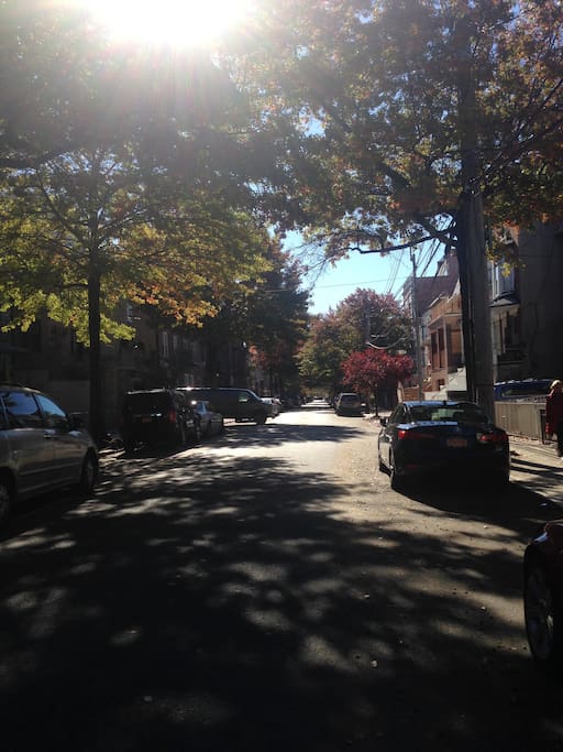 Tree-lined street, parking available on the street, safe neighborhood