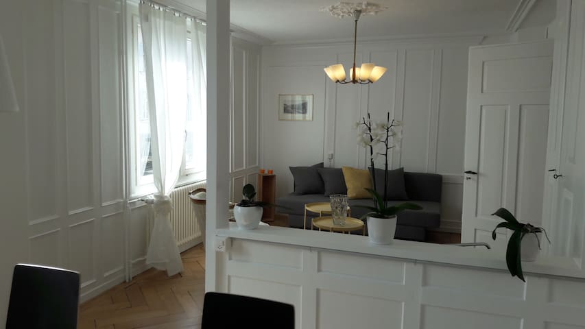 Airbnb Goldach Vacation Rentals Places To Stay St