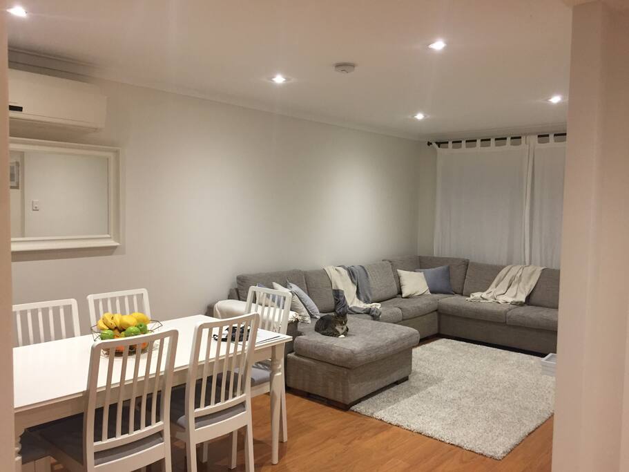 Lounge / Dining Area