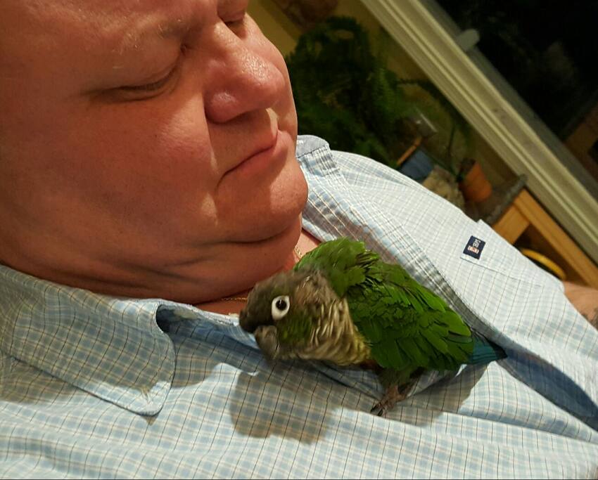 Our beautiful 9yo bird Lughna.