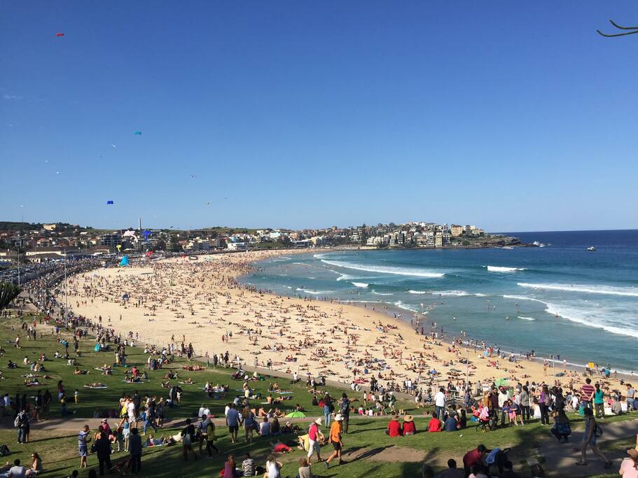 Room To Rent Bondi Beach Room To Rent Bondi Beach