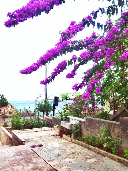 relax in the garden with sea view