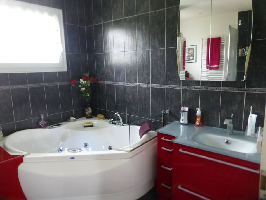 Salle de bain avec douche et baignoire