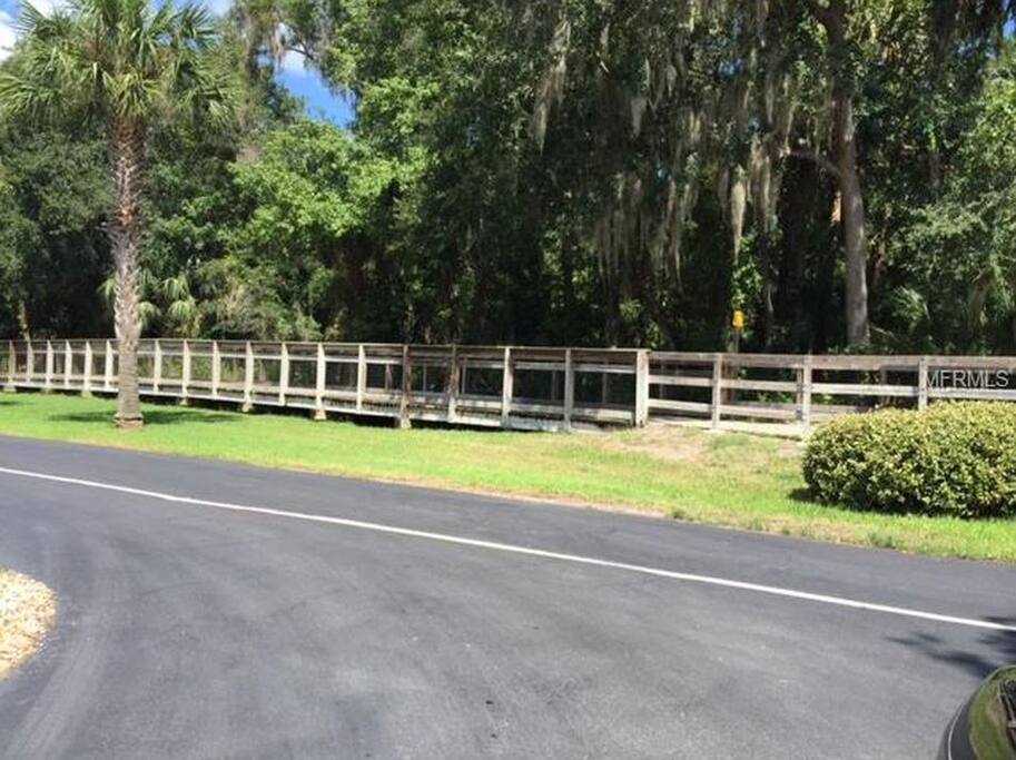 Bike Trail - Spring to Spring