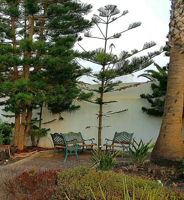 Rincón del jardín.