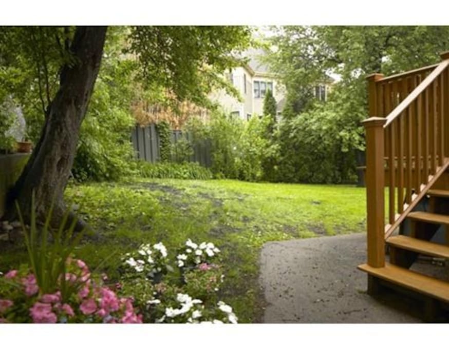 You can hang out in the back yard (unless it's winter).