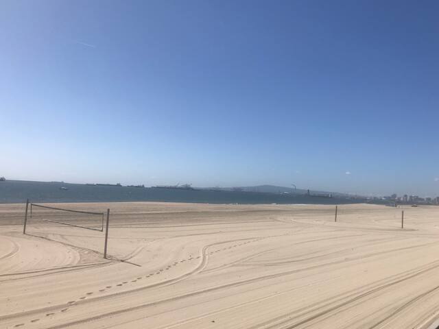 Oceanfront Oasis ! gallery image 5