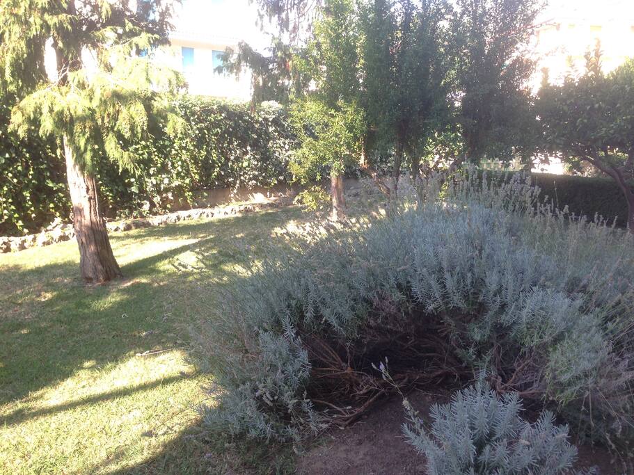 Vista sul giardino