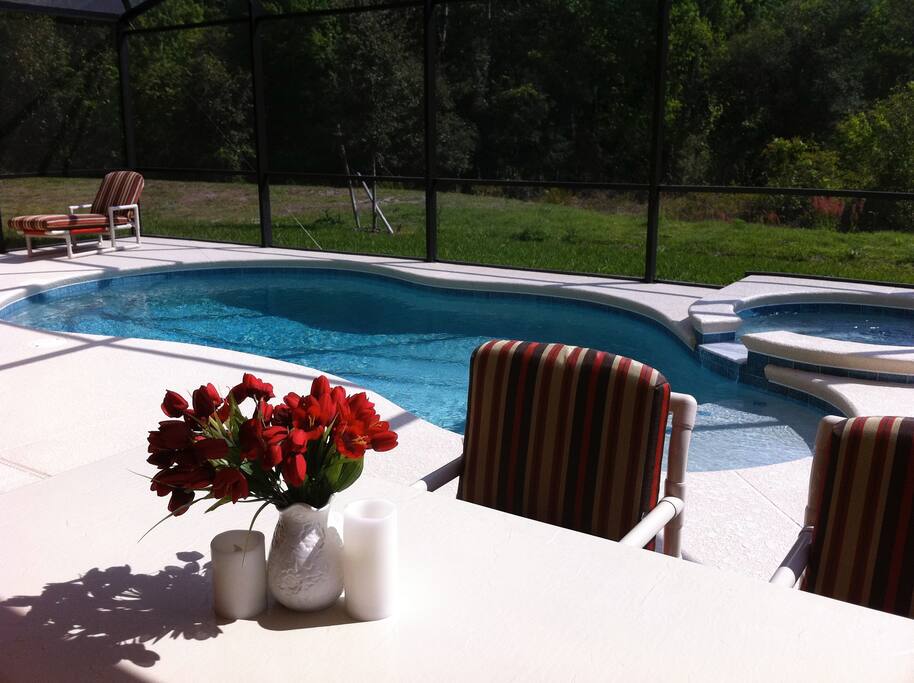 Pool From Dining Table
