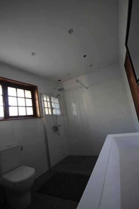 Downstairs bathroom