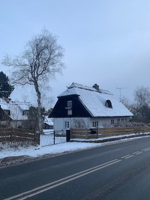 Charming Historic Bungalow near Copenhagen, Farum