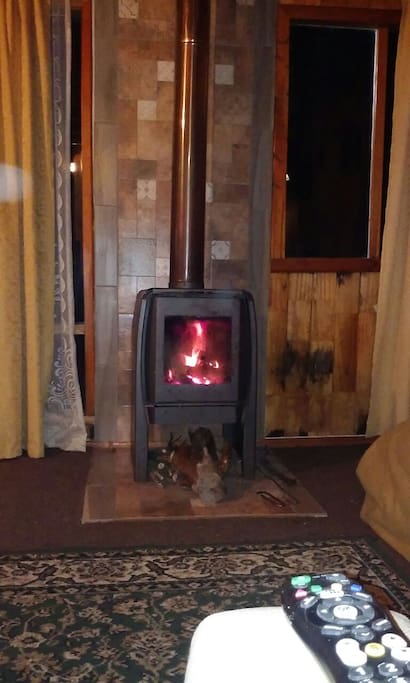 combustion a leña