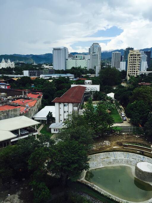 View from the room