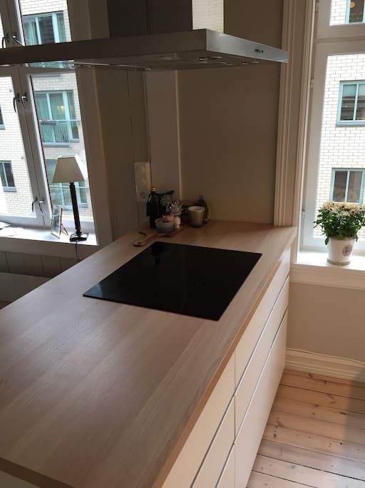 Modern and fast induction stove